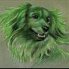 Зелёный пёс Такс и два лысых лгуна. Иллюстрации